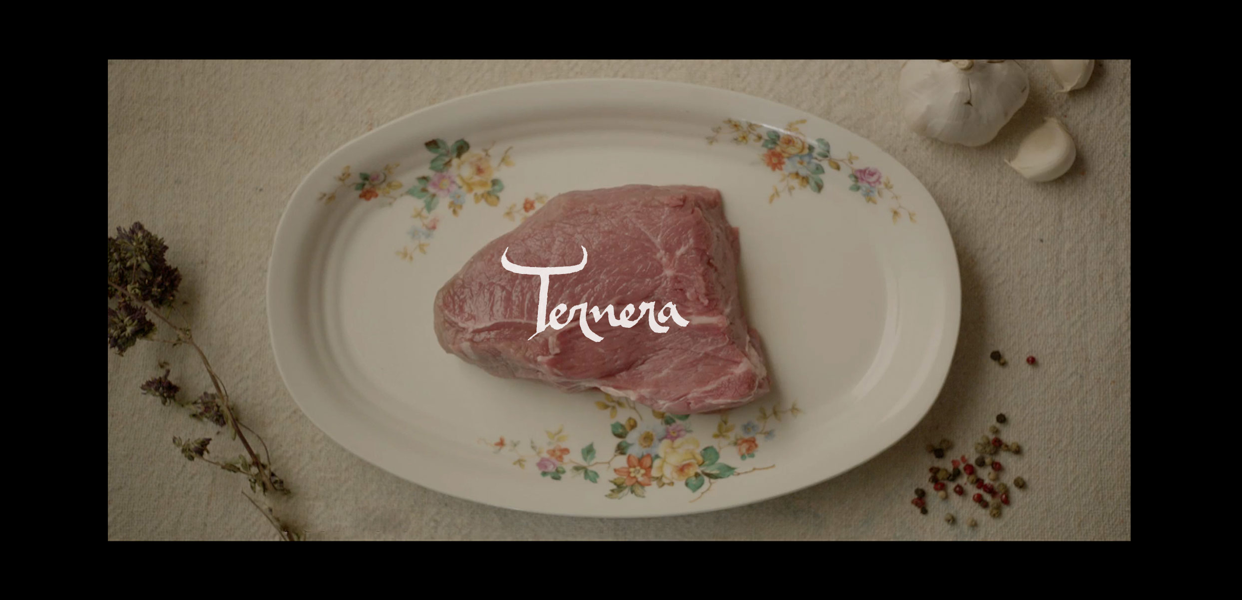 Conversaciones con mis Fogones