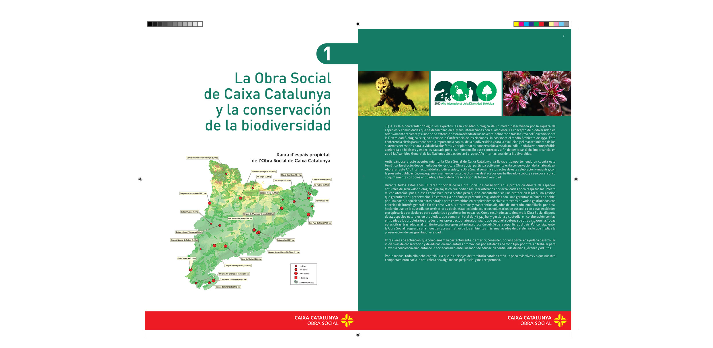 Informe Biodiversidad 2010
